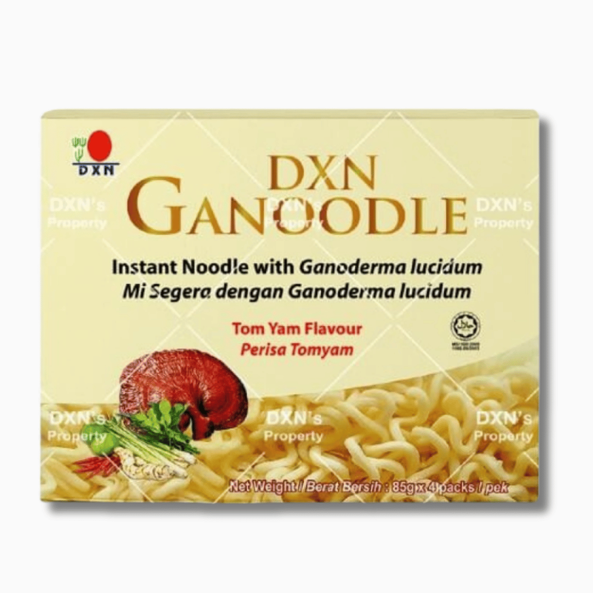 DXN-GANOODLE-TOM-YAM-FLAVOUR-1.png